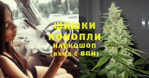 дмт Алзамай