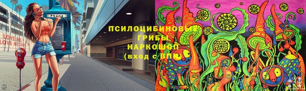 ПСИЛОЦИБИНОВЫЕ ГРИБЫ Алексин