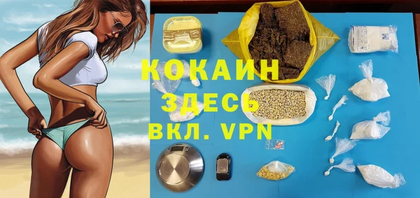 дмт Алзамай